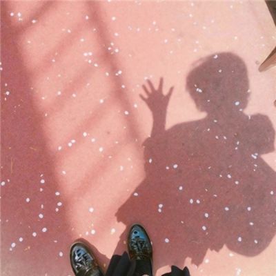 巨星朱迪的行程安排